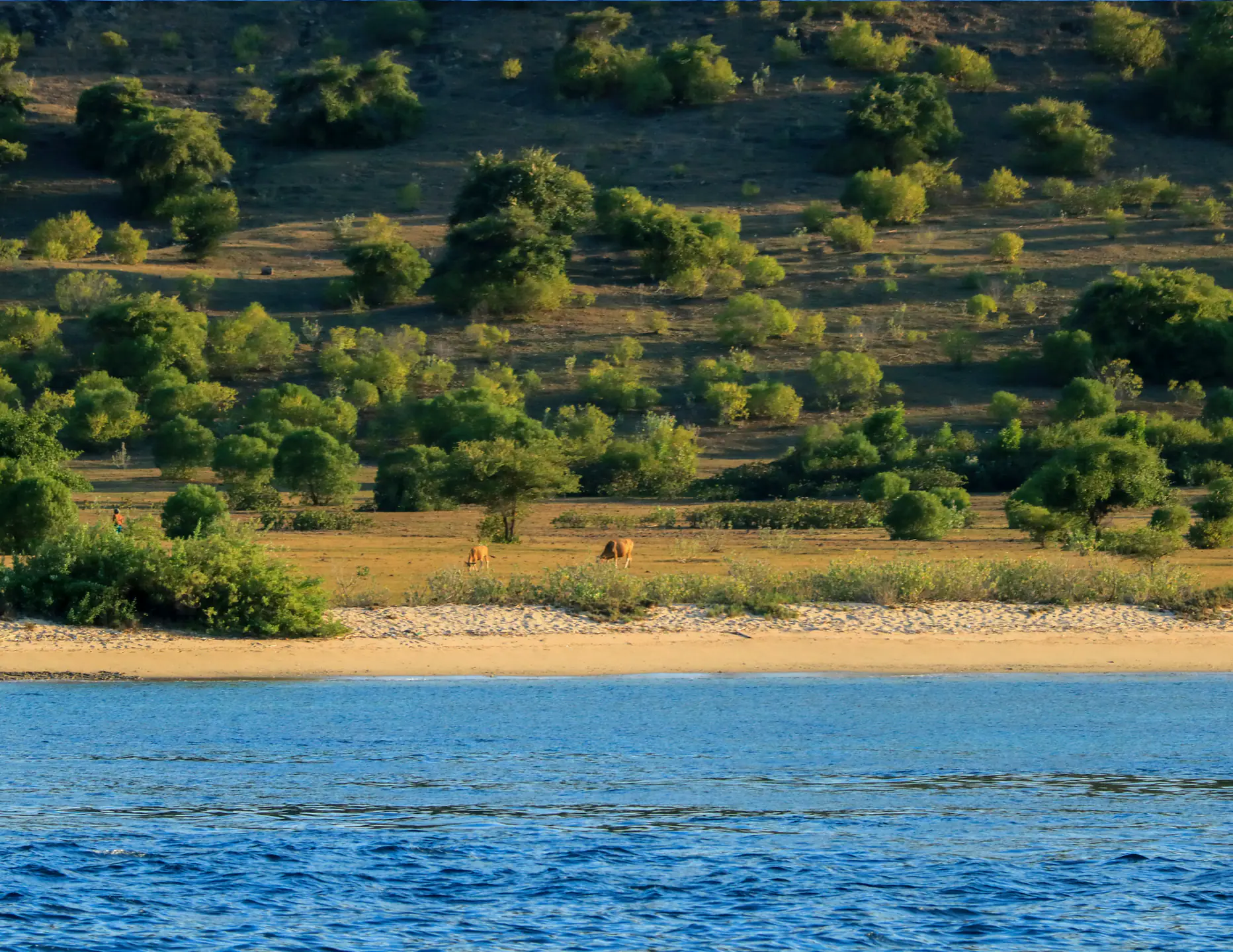 west-sumbawa-3